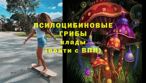 MDMA Premium VHQ Заводоуковск