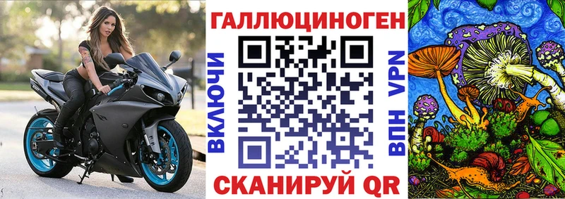 Галлюциногенные грибы Psilocybe  Купить  Мелеуз 